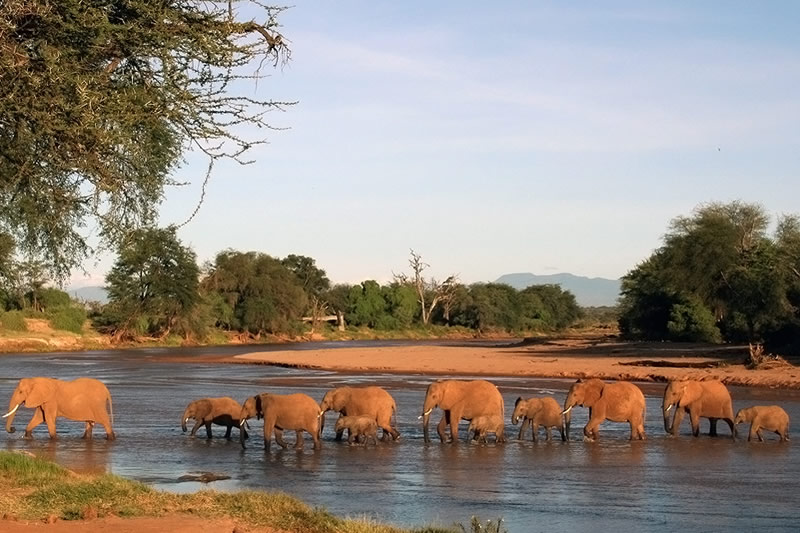 Spectacular Sweet Waters safaris - 7 Days/6 Nights
