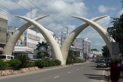 Elephant Tusks