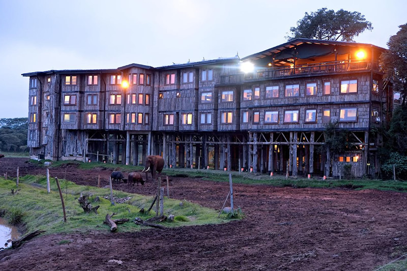 samburu treetops